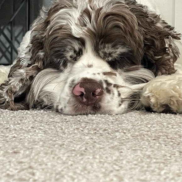 @Feelgooddogood is Live! Live Show Listing Like to be Notified When I Go Live - Picture 7 of 14